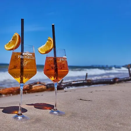 Wave Family - Sea View * 米兹多洛杰